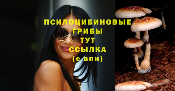 шишки Волосово