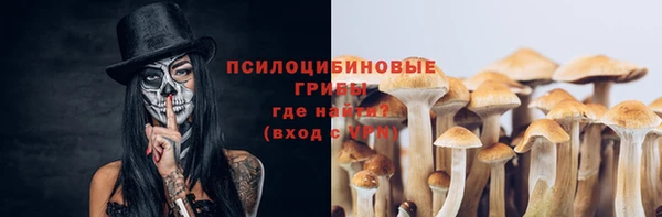 шишки Волосово